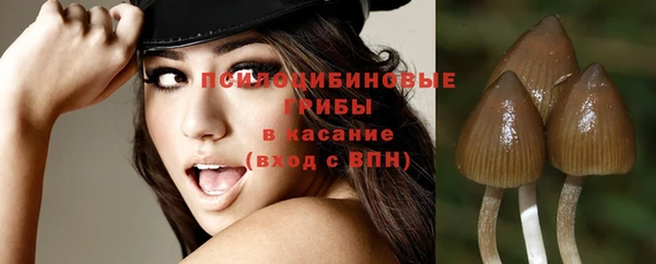 apvp Богородицк