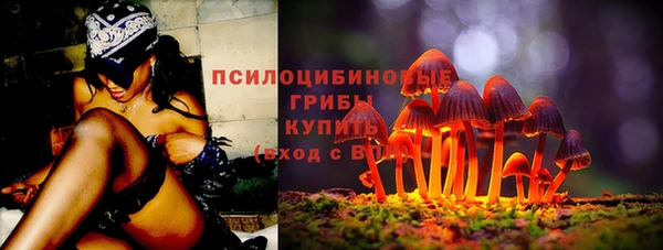 бутират Богданович