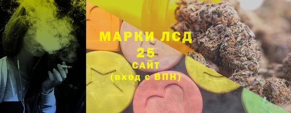 PSILOCYBIN Богородск
